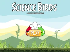 Science Birds – kostenloses Online-Spiel