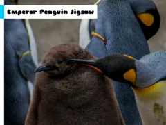 Emperor Penguin Jigsaw – kostenloses Online-Spiel