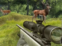Stag Hunt – kostenloses Online-Spiel
