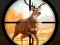 Wild Hunting Clash – kostenloses Online-Spiel