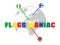Flags Maniac – kostenloses Online-Spiel