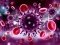 Coronavirus Puzzle – kostenloses Online-Spiel