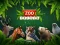 ZOO Trivia – kostenloses Online-Spiel