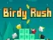 Birdy Rush – kostenloses Online-Spiel