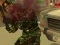 Armed Forces vs Gangs – kostenloses Online-Spiel