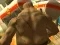 Monster Simulator – kostenloses Online-Spiel