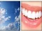 4x1 Picture Quiz – kostenloses Online-Spiel