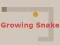 Growing Snake – kostenloses Online-Spiel