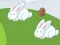 Crazy Eggs – kostenloses Online-Spiel
