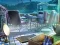 The Mysterious Creatures – kostenloses Online-Spiel