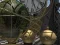 Planetarium – kostenloses Online-Spiel