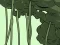 Abandoned the Forest – kostenloses Online-Spiel
