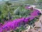 Vanishing Trail – kostenloses Online-Spiel