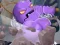 Break The Rock – kostenloses Online-Spiel