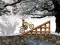 Ice Biker – kostenloses Online-Spiel