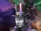 Citizens of Darkness – kostenloses Online-Spiel
