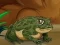 Frogs Matching – kostenloses Online-Spiel