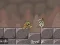 Roly-Poly Eliminator 2 – kostenloses Online-Spiel