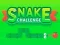 Snake Challenge – kostenloses Online-Spiel