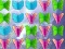 Butterfly Collector – kostenloses Online-Spiel