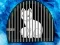 Snow Fox Escape – kostenloses Online-Spiel