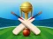Cricket Champions Cup – kostenloses Online-Spiel