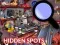 Hidden Spots In The Room – kostenloses Online-Spiel