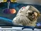 Space Find The Differences – kostenloses Online-Spiel