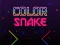 Color Snake – kostenloses Online-Spiel