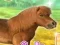 My Dear Pony – kostenloses Online-Spiel