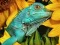 Ultimate Puzzles Animals 6 – kostenloses Online-Spiel