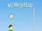 VolleyBall – kostenloses Online-Spiel