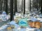 Winter Wonderland Forest Adventure – kostenloses Online-Spiel