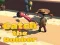 Catsh the robber – kostenloses Online-Spiel