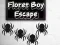 Floret Boy Escape – kostenloses Online-Spiel