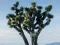 Winter Squirrel Escape – kostenloses Online-Spiel