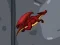 Dragon Domination – kostenloses Online-Spiel