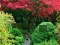 Maple Leaf Garden Escape – kostenloses Online-Spiel