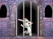 Victory Rabbit Escape – kostenloses Online-Spiel