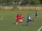 Quiz-Referee – kostenloses Online-Spiel