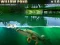 Willow Pond – kostenloses Online-Spiel