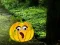 Help The Hungry Monkey – kostenloses Online-Spiel