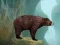 Caged Tiger Cub Escape – kostenloses Online-Spiel