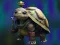 Isolated Turtle Escape – kostenloses Online-Spiel