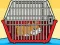 Rescue The Hamster From Cage – kostenloses Online-Spiel