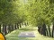 Pair of Cat Escape – kostenloses Online-Spiel