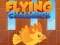 Flying Challenge – kostenloses Online-Spiel