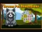Dream Pet Dimensions – kostenloses Online-Spiel