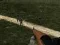 Dead Zed Mobile – kostenloses Online-Spiel