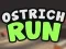 Ostrich Run – kostenloses Online-Spiel